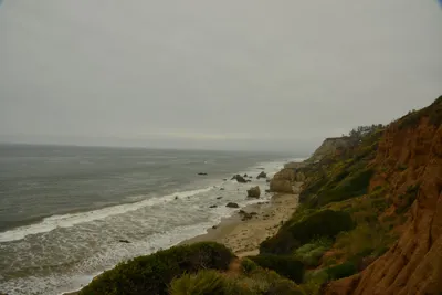 DSC_6541 (Large).JPG